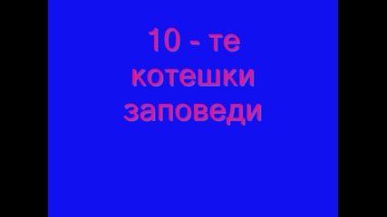 10 - те котешки заповеди