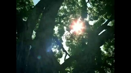 Cherish - Unappreciated