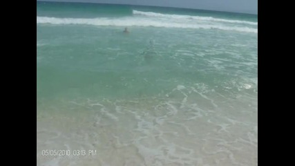 On The Beach ~ Chris Rea ~ Pensacola Beach Florida 