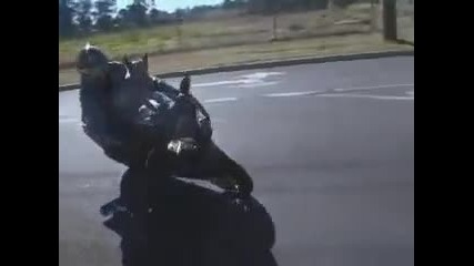 Кучета Колоездачи