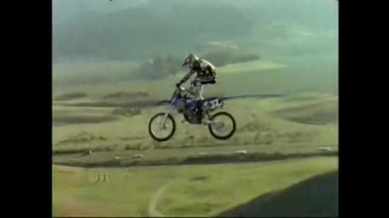 Freestyle 