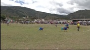 В Колумбия организираха футболен мач между овце