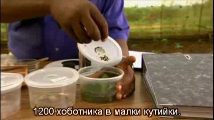 Странни дни на Земята - Нашественици - National Geographic [bg subs]част2/3