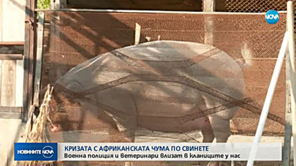 Новините на NOVA (29.07.2019 - следобедна емисия)