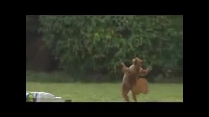 Яко...!!! 