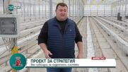 Производител: На пазара у нас няма няма български краставици