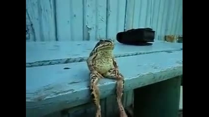 Чакай малко да си почина