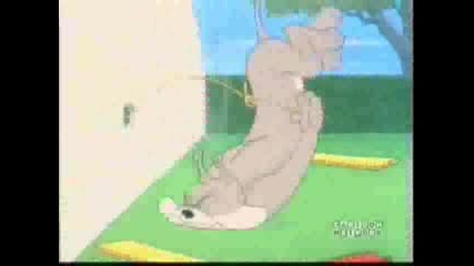 Tom&Jerry - The Dog House