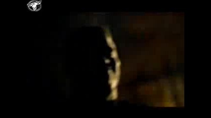 Down Low - Vision Of Life 