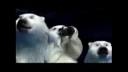 Coca Cola - Polar Bears