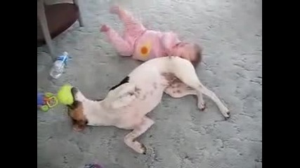 Куче забавлява бебе с играчка 