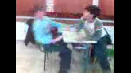 Plesnica