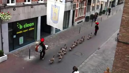 Военно обучение на гъски Смях
