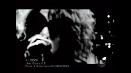The Gazette - Leech