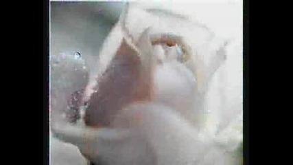 Beni Unutma.wmv