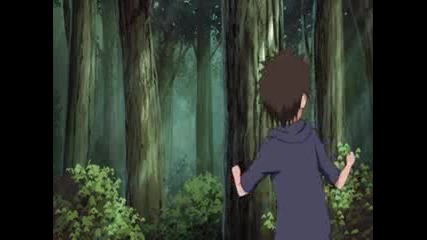 Naruto Shippuuden - 314 bg subs