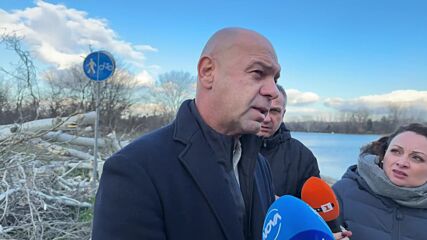 Силен вятър създаде хаос и проблеми в Пловдив