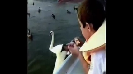 Funny compilation 6