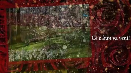La Multi Ani, Dorina Neculce!