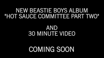 Beastie Boys - Fight For Your Right - Revisited (bg subs)
