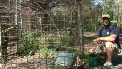 Big Cat Tv