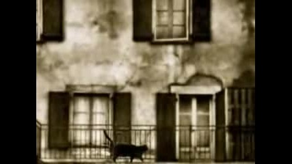 Robert Plant Alison Krauss - Sister Rosetta Goes Before Us