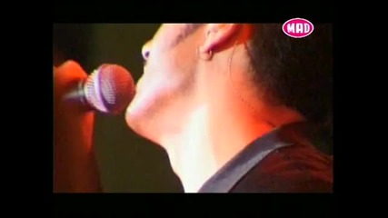Paparouna (zontana) Sfakianakis Notis