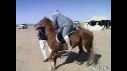 Дебел Арабин се качва на кон Смях ! 