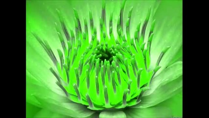 Waterlillies - Tired of You [e-smoove_s Groovy Dub]