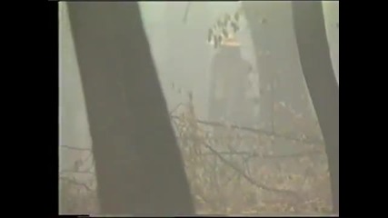 Vesna Zmijanac 1988 - Kraj