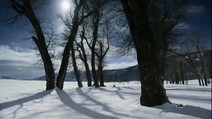 Удивителната красота на зимата на фона на нежна музика
