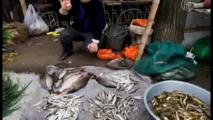 Токсини открити в риба