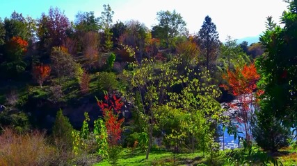 Kitaro - Spiritual Garden - Quarryhill Botanical Asian Garden