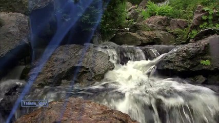 Francis Dupont Forever Love Calming Relaxing Soothing Music Trumpet