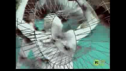 Snap - Rhythm Is A Dancer