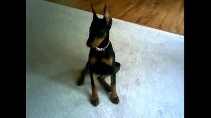 My Makc