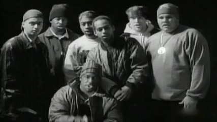 Diamond D And The Psychotic Neurotics - Sally Got A One Track Mind 