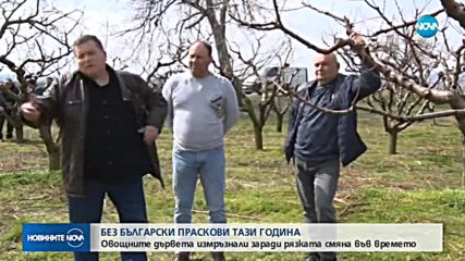 Без български праскови тази година