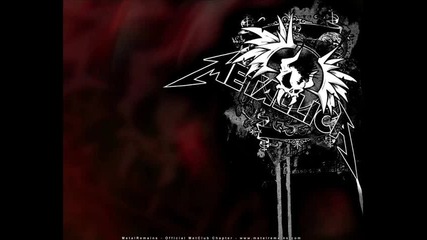 Metallica-the Unforgiven 2