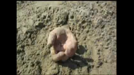 Пародия На Survivor!