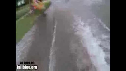 Удар В Дърво