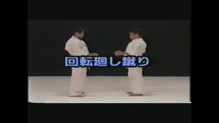 Kyokushin - sanbon kumite