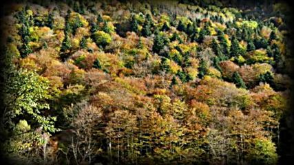 Есента ми отива - снимки Ирина Скендерска авторски