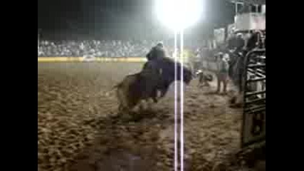 Rodeo Bullride 