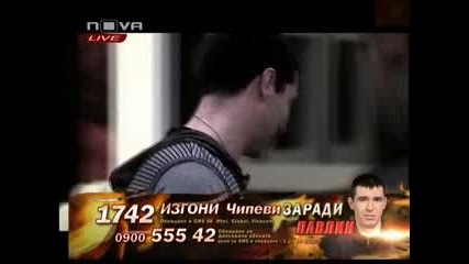 Big Brother Family - Интриганта Павлин 