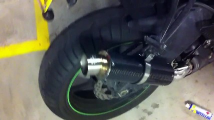 kawasaki monster