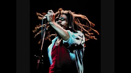 Bob Marley - Ambush In The Night