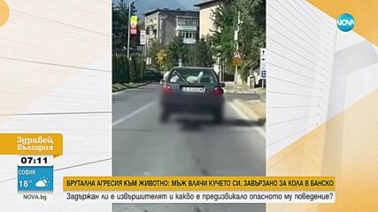 Кучето, влачено за кола в Банско, е без наранявания. Собственикът ще бъде санкциониран
