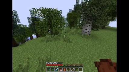 Minecraft server - P2d