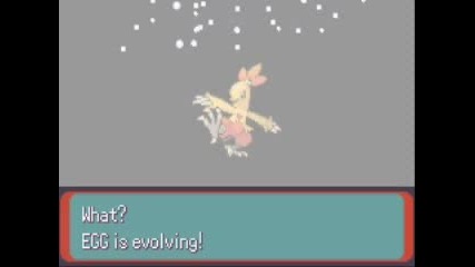 Amazing Evolving Pokemon